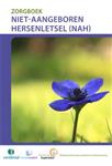 Niet-aangeboren hersenletsel / Zorgboek
