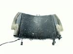Yamaha YZF R6 1999-2002 437V RADIATEUR