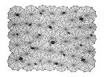 Tafelkleed spinnenweb 1,8m