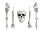 Halloween Skeletdecoratie