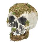 Halloween Schedel Mos 19cm