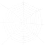 Witte Spinnenweb 2,75m