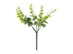 Small bouquet of branches - Eucalyptus, 27 cm