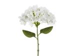 Artificial flower - Hydrangea, 35 cm, white