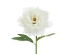 Artificial flower- Peony, 35 cm, white