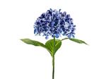 Artificial flower - Hydrangea Premium, 69 cm, navy blue