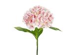 Artificial flower - Hydrangea Premium, 69 cm, light pink