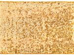 Sequin table runner, gold, 0.3 x 5 m