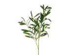 Olive branch, 91 cm