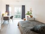 Studio Oostersingel in Groningen
