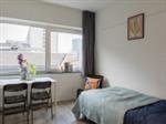 Studio Pastoor Petersstraat in Eindhoven