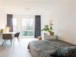 Studio Oostersingel in Groningen