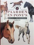 PAARDEN EN PONY'S