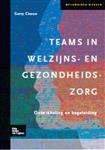 Teams in welzijns- en gezondheidszorg / Methodisch werken