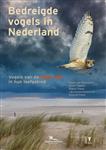 Bedreigde vogels in Nederland
