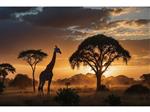 Glasschilderij Giraffe | 1123