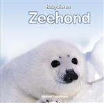 Babydieren -  Zeehond