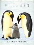 PINGUIN