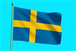 Vlag Zweden 300x450 cm