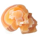 Oranje Calciet schedel 2769 gram