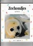 Zeehondjes op het ijs / Een Wapiti boek