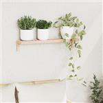 vidaXL Wandhangrek Beige 62 x 10 x 12.5 cm Massief walnotenhout