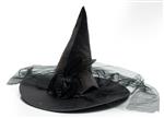 Heksenhoed Zwart met Bloem & Tule Decoratie