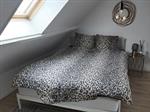 Kamer Brusselsestraat in Maastricht
