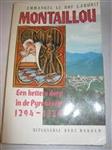 Montaillou, een ketters dorp in de Pyreneeen 1294-1324