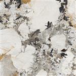 Vloer- en Wandtegel Energieker Ekxtreme 120x120 cm Glanzend Patagonia (Prijs per Tegel)