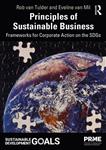 The Principles for Responsible Management Education Series- Principles of Sustainable Business