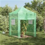 vidaXL Kas met dak Groen 200 x 200 x 300 cm Staal