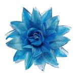 Blauwe Haarbloem
