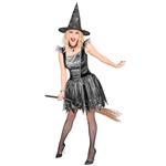 Halloween Kostuum Zwart Zilver Dames Heks