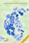 Zorgboek Hoge bloeddruk (hypertensie)