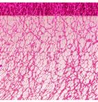 FUCHSIA GLITTERED TABLE RIBBON 10CM X 5M