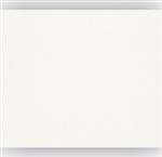 200 m2 Rasch Renovlies 150 gram + 40 liter ProGold Glasweefsellijm