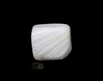 Scolesiet Knuffelsteen Nr 11 - 20 gram