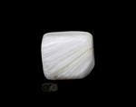 Scolesiet Knuffelsteen Nr 11 - 20 gram