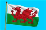 Vlag Wales 300x450 cm