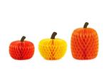 Honeycomb Pumpkins, 18-30cm, mix