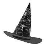 Halloween Heksenhoed Zwart Wit Spinnenweb