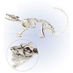 Halloween Skelet Rat