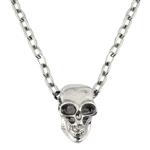 Halloween Ketting Zilver Schedel