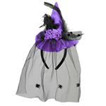 Halloween Hoed Paars Heks Mini