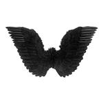 Halloween Vleugels Zwart 86cm