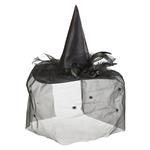 Halloween Heksenhoed Zwart Sluier
