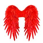 Rood Vleugels Veren 50cm