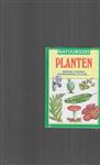 PLANTEN - INDELING/VOEDING/VOORTPLANTING/EVOLUTIE... / NATUURGIDS