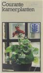 Courante kamerplanten